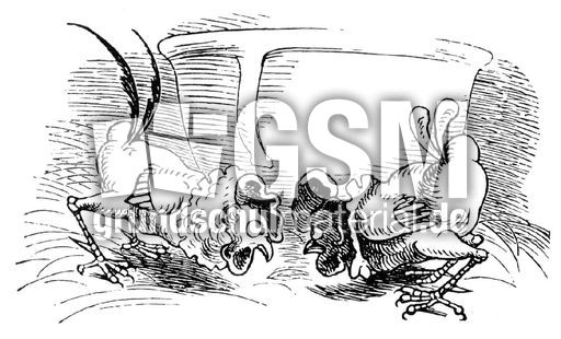 Hahnenkampf sw 05.jpg